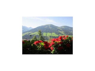 Alpbachblick - Blick vom Balkon