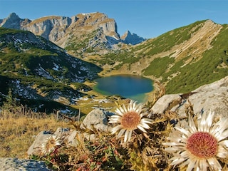 Zireiner See Herbststimmung_Alpbachtal Tourismus_F