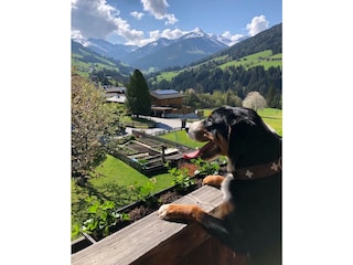 Bester Blick auf die Gratlspitz