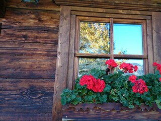 Blumenschmuck im Fürstenhäusl