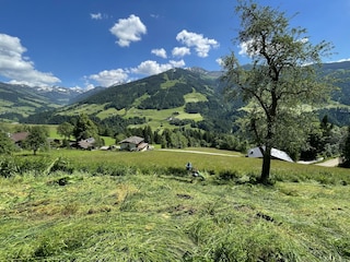 Aussergraben_Alpbach_Mähen