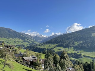 IMG_3327