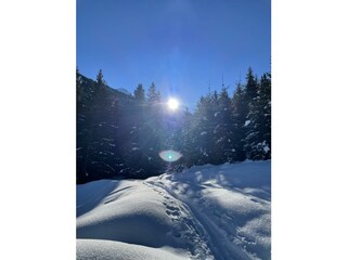 Aussergraben_Alpbach_Winter