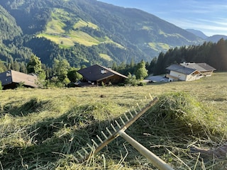 Aussergraben_Alpbach_Mähen