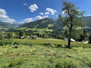 Aussergraben_Alpbach_Mähen