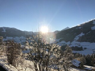 Sonniger Tag im Winter