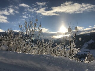 Herrlicher Wintertag mit Neuschnee