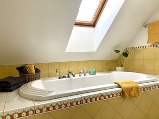 Alpbachtal Villa Riedhart Bad 04