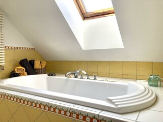 Alpbachtal Villa Riedhart Bad 01