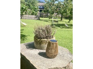 Alpbachtal Villa Riedhart Garten 10