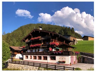 Top_Bergwald_Alpbach (2048x863) (2)