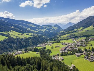 Ausblick vom Bergwald ins Tal
