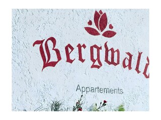 Sommer Deskline Bergwald