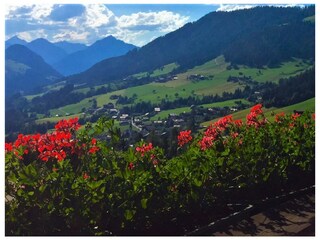 Ausblick ins Dorf Balkon Alpbach Bergwald