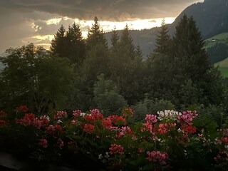 C3F4A5CC-0F73-4E19-BC83-B5A703CB98F8