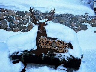 Guten Morgen im Winter Bergwald