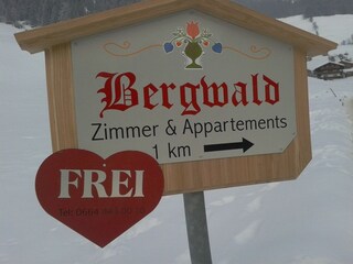 Der Weg ins Bergwald