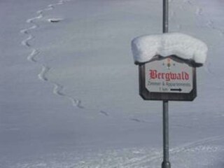 Der Weg ins Paradies