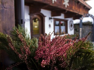 Gästeeingang Bergwald Alpbach
