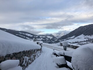 An einem Wintermorgen Bergwald Alpbach