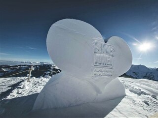 Ski Juwel Alpbachtal Wildschönau Alpbach