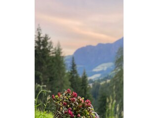 0431A5C7-C5D9-43D1-9A45-4ED105C94089