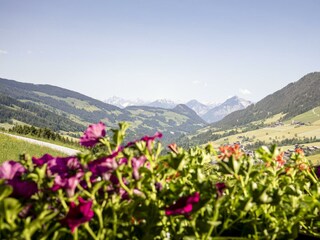Ausblick aufs Tal vom Bergwald Alpbach