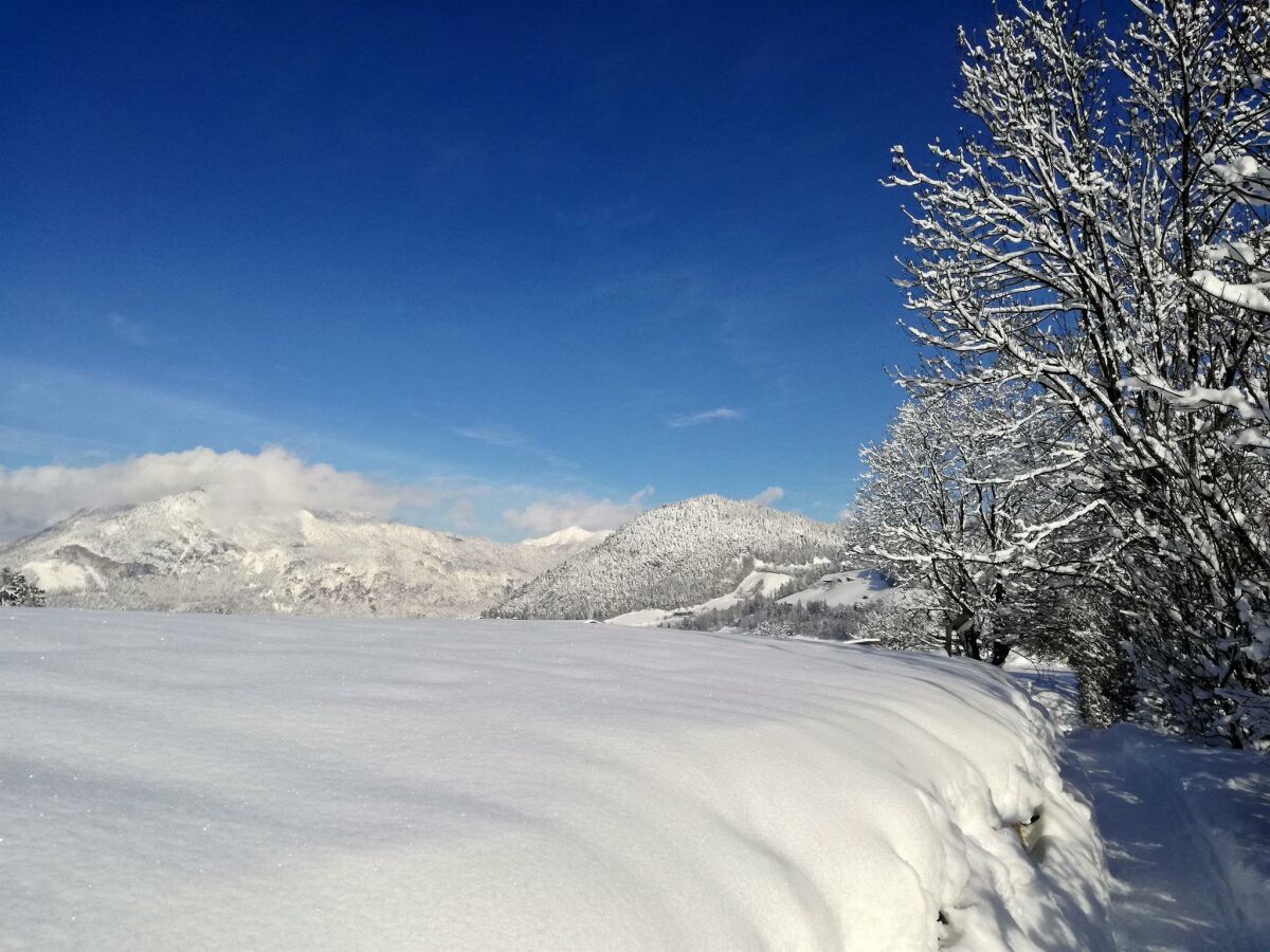 Winter_Reith_Alpbachtal_Tramberger Apartments