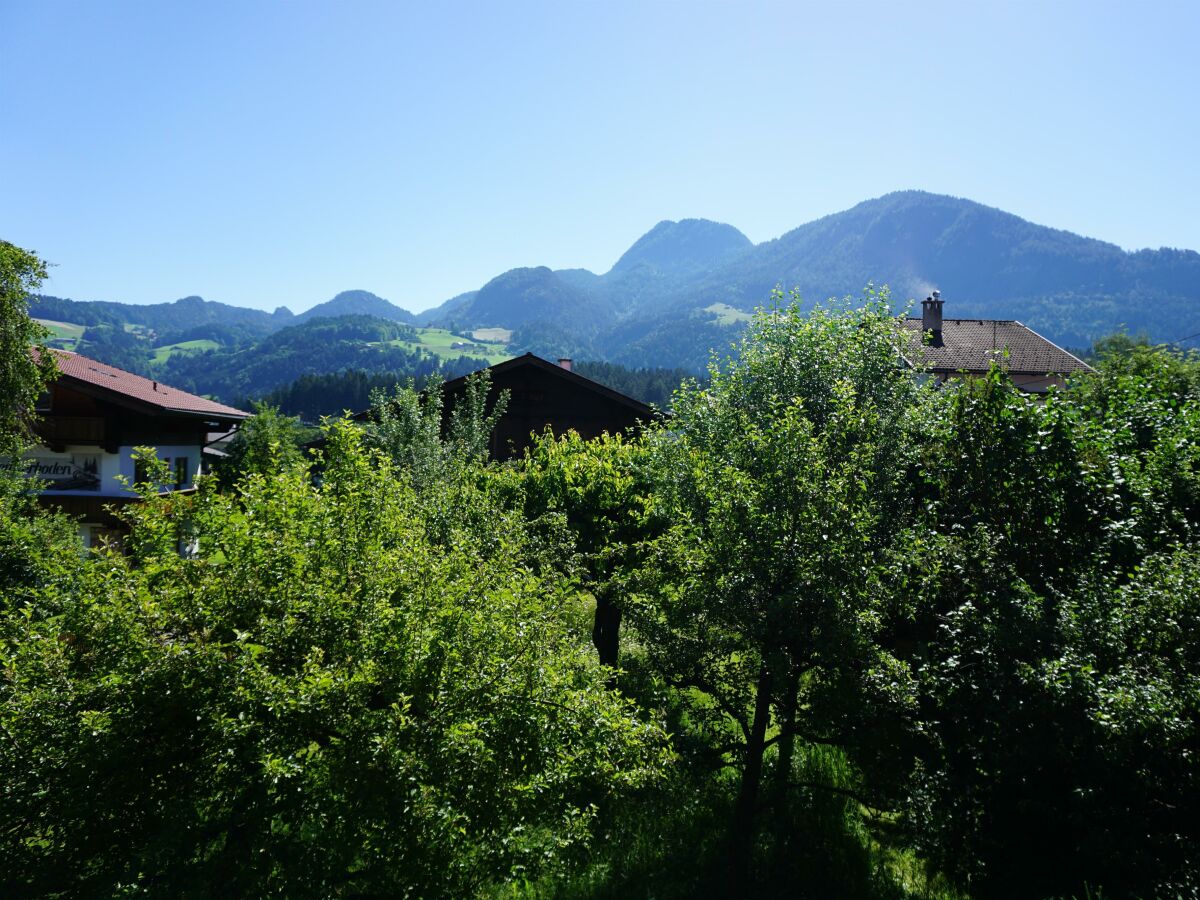 Aussicht_Apartment 4_Reith_Alpbachtal_Tramberger