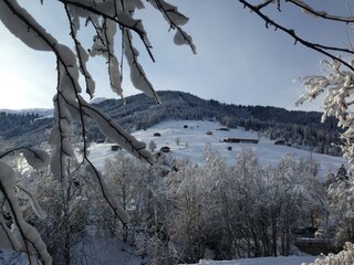 Connys Landhaus Ausblick Alpbach  im Winter