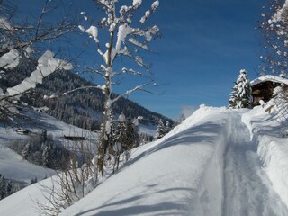 Auf dem mittleren Höhenweg nach Alpbach