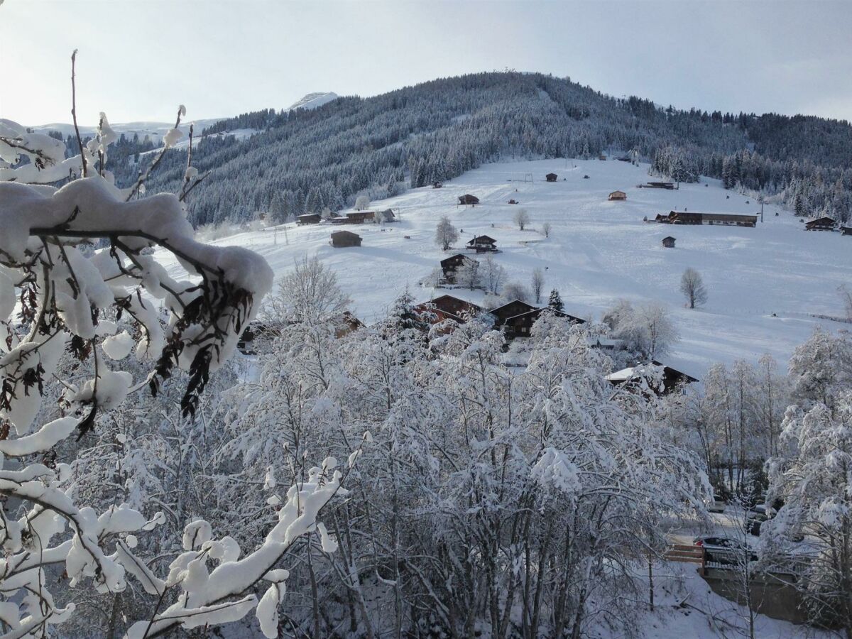 Blick auf die Piste von Connys Landhaus