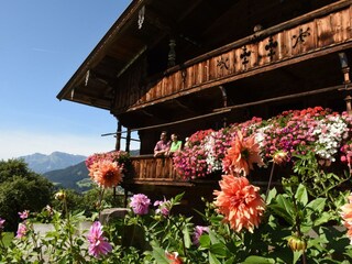 Blumen Bauernhof (6)