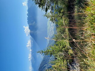 3641A937-B7C2-40F3-B3D5-23229AEBE517