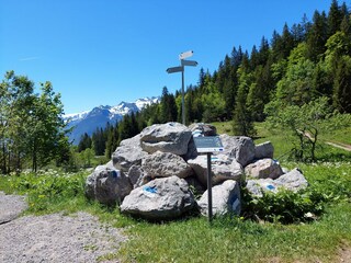 1F42F037-B862-487C-9AA6-C0B70A061059