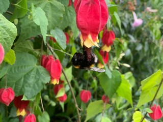 Appartamento per vacanze Andechs Registrazione all'aperto 8