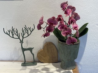 Liebevolle Deco