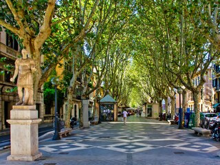 Borne district of Palma