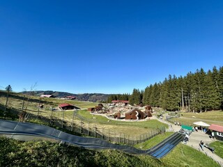 Alpsee Coaster Spielplatz
