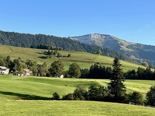 Die Nagelfluhkette mit dem Hochgrat