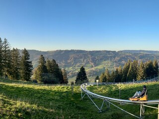 Alpsee Coaster