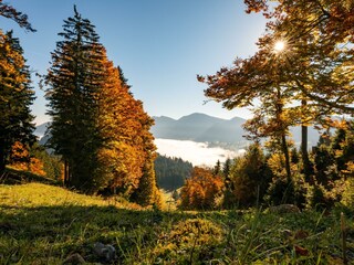 Herbst_Allgaeu_Imberg