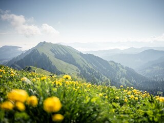 Frühling_Allgaeu_Oberstaufen