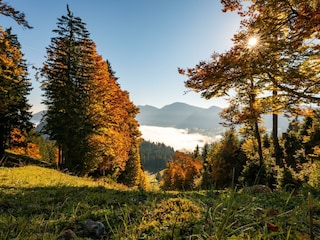 Herbst_Allgaeu_Imberg