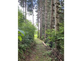 Waldweg Haus CHRISTOPHORUS