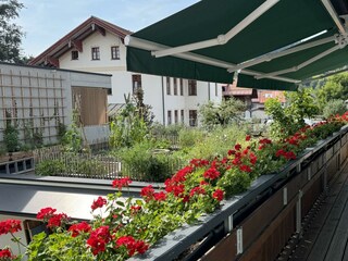 Balkon mit Blick auf den Dachgarten