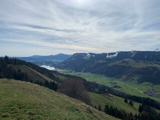 Blick zum Alpsee