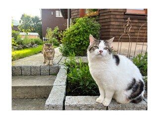 Max und Mia