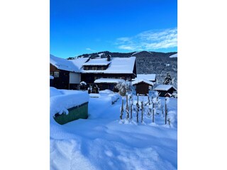 Winterbild