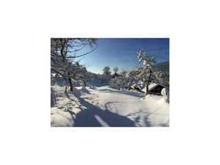 Panoramablick Steinebach